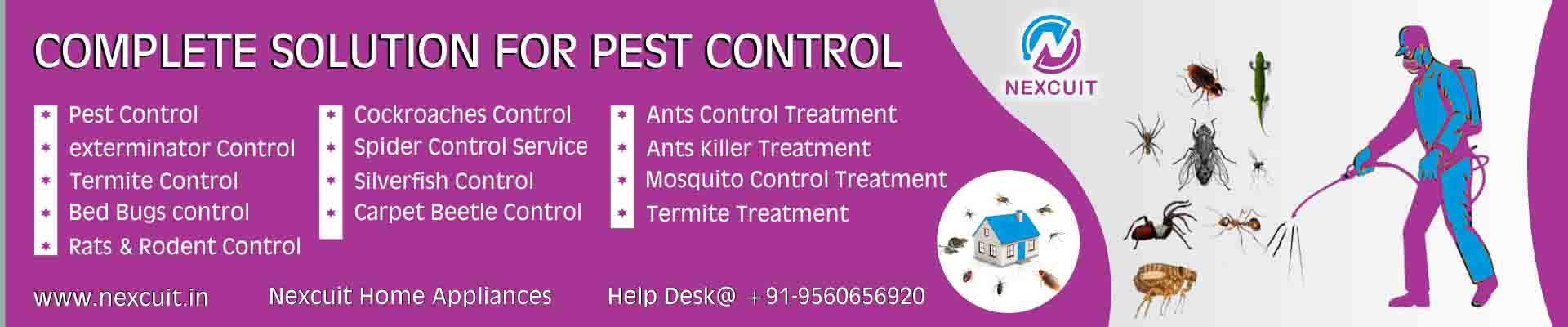Best Pest Control Service in Delhi