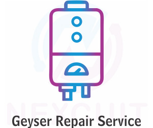 geyser service