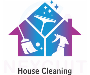 house cleaning in delhi