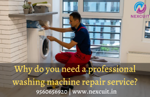 Why do you need professional washing machine repair service