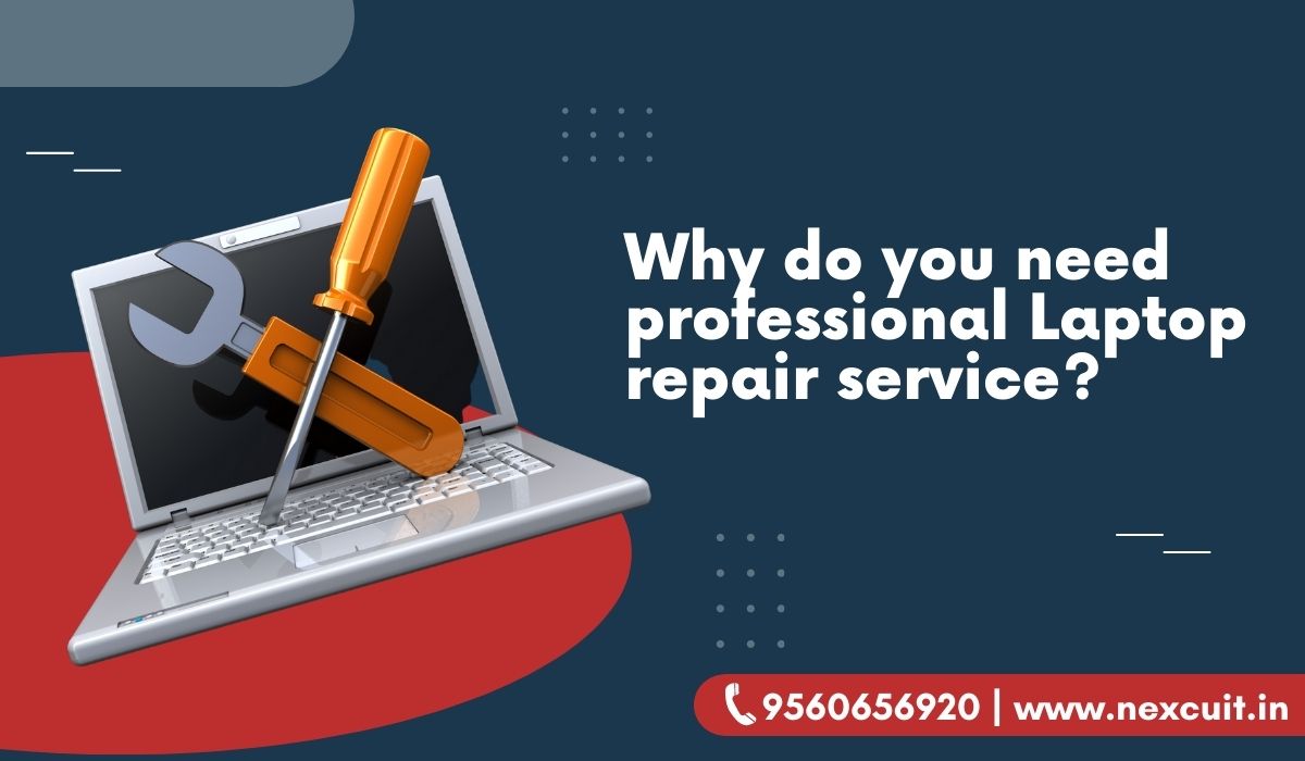 professional Laptop repair service