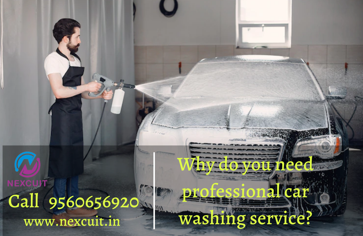 professional car washing service