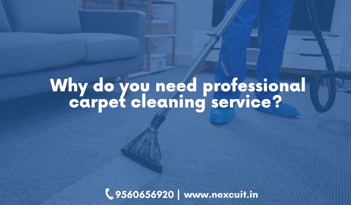 carpet cleaning service in Delhi